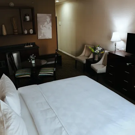 Holiday Inn Durango By Ihg-2